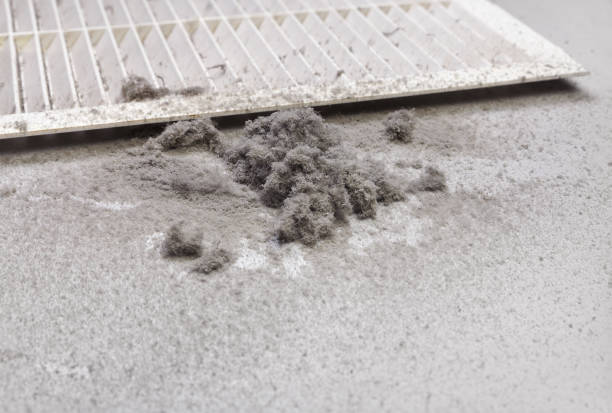 Best General Air Duct Cleaning  in Lumber City, GA