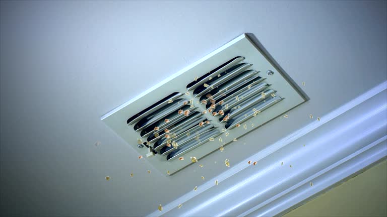 Best Air Duct Cleaning Near Me  in Lumber City, GA