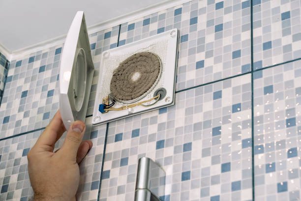 Best Air Duct Mold Removal  in Lumber City, GA
