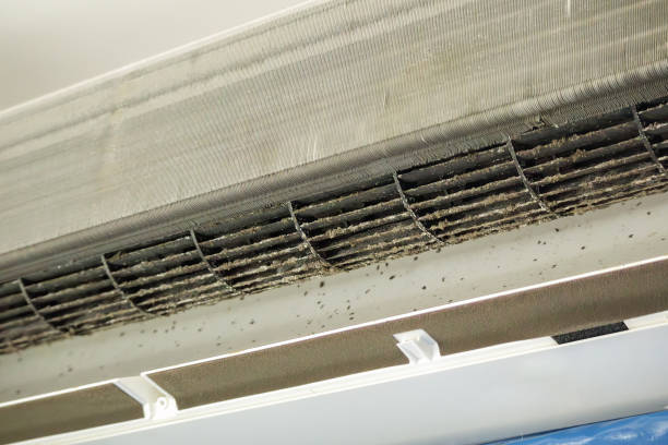 Best Affordable Duct Cleaning Services  in Lumber City, GA
