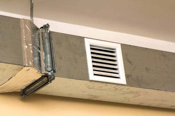 Air Duct Mold Removal in Lumber City, GA